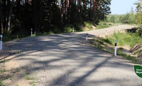 Як нові лісові дороги покращують роботу Славутського лісового господарства