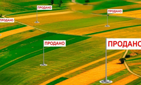 Як підготуватися до продажу паю: інструкція для землевласників