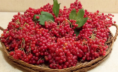 Нові завдання чекають. Дізнайтеся, що зображено на пазлах 