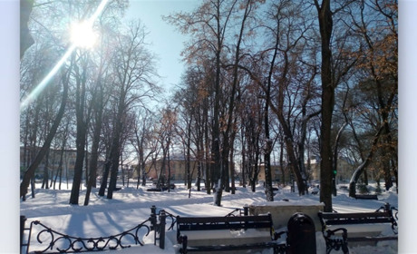 Тиждень буде вологим...