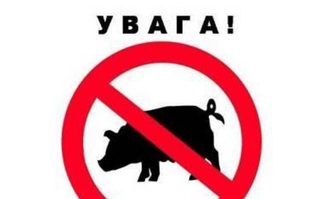 В Ізмаїльському районі знайшли понад 90 туш свиней, заражених африканською чумою