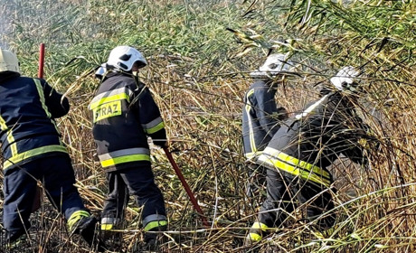 В Наталинській громаді спалахнула маштабна пожежа — вогонь знищив сухостій