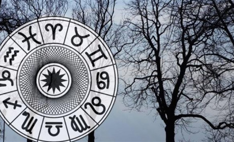 Гороскоп на тиждень з 24 по 30 листопада 2025 року: що зірки нам приготували