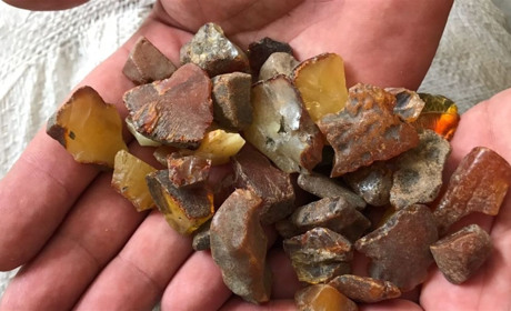 Визнали винними: бурштинокопачі з Сарненщини сплатять штраф