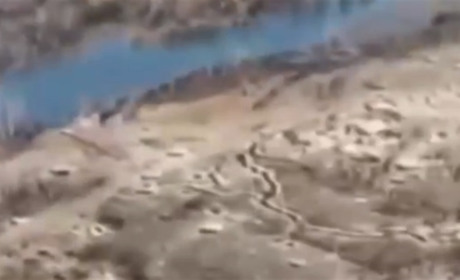 Z-пропагандисти панікують через ситуацію біля Кринків на Херсонщині