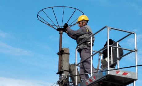 У Петропавлівському лісництві встановили платформу для гніздування лелек