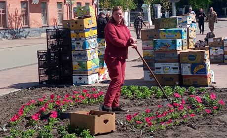 Клумби Ніжина вбирають у квіткові віночки