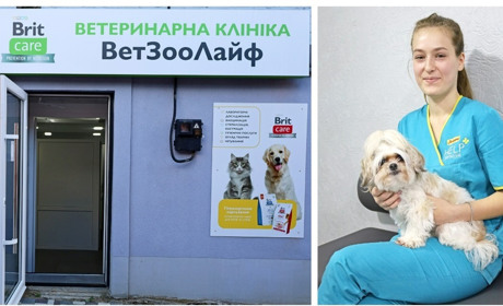 У Жмеринці відкрили ветеринарну клініку «ВетЗооЛайф»: аналізи, хірургія, УЗД для тварин