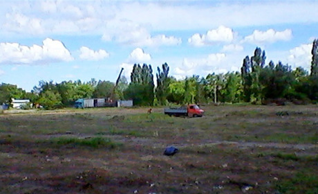 Будівництво почалося з вирубки