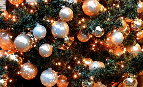 У Сватовому прикрасили головну ялинку: вона шостий рік росте у центрі міста і вже заввишки 10 метрів