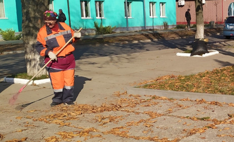 Листя: досвід садівників, які не спалюють