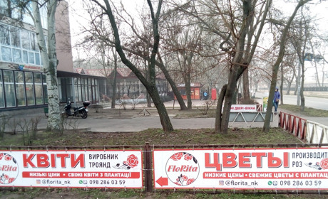 Весна також буде аномальною