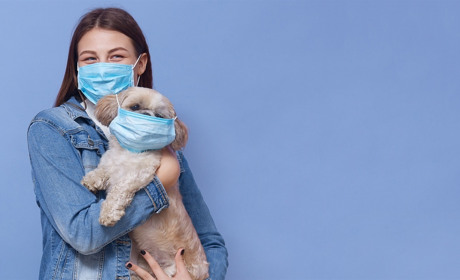 Середина літа: по області знов 9 випадків захворювання, але в Мелітополі все спокійно