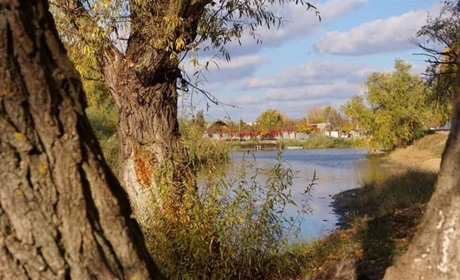Мешканця Біляївки судитимуть за те, що радикально "вступився" за тещу