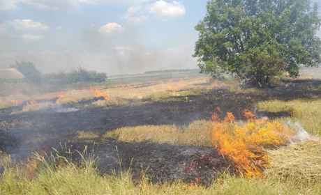 Чортківщина у вогні: двічі рятувальники залучалися до пожеж пожнивних залишків