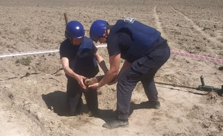 В Сарненському районі знайшли три авіабомби