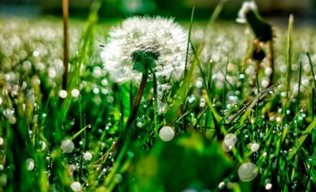 Прогноз погоди на Сумщині та в Україні 4-6 травня: що говорять синоптики