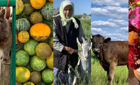 Школярка з Сарненщини здобула чотири «золота» на обласному фотоконкурсі