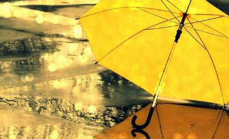 Как провести в Мелитополе и Мелитопольском районе выходные дни 30 ноября – 1 декабря