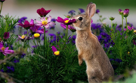 У найближчі дні дощів не очікуємо: прогноз погоди на Сумщині та в Україні