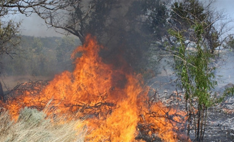 Горел дом в Атманае