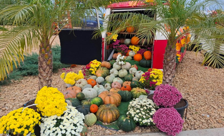 Три тонни гарбузів і 75 000 гривень: у Мирному пройшов фестиваль на підтримку ЗСУ