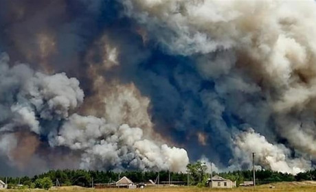 На Луганщині затримали агронома, який підпалив стерню: загинули 5 людей, згоріли десятки будинків