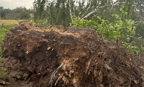У Степангороді раптовий буревій наробив лиха
