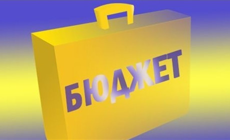 Мешканцям представили проєкт бюджету Нетішинської громади на 2025 рік