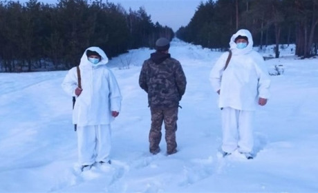Затримали на кордоні: житель Рокитнівщини хотів зібрати лучину в Білорусі