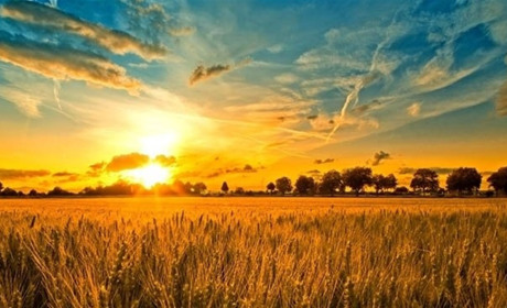 Синоптики Сумщини прогнозують в суботу невеликий дощ і грозу