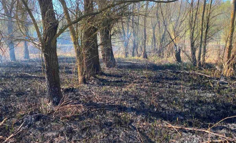Протягом Великодніх свят городоцькі рятувальники ліквідували дві пожежі
