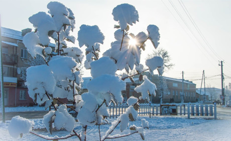 Якої погоди чекати сватівчанам цього тижня: прогноз з 21 по 27 січня