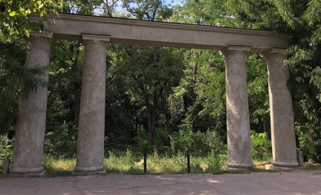 Часу не гай — створюй «Богданів гай»!  