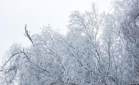 Погода в Кагарлику та Ржищеві на тиждень - із 17 по 23 лютого