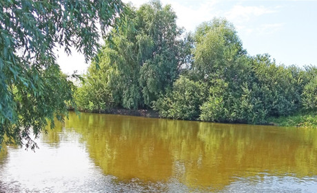 День води. Гідрологи розповіли, чому висихають малі річки і болота на Поліссі, і як з цим боротися