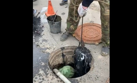 Що "спіймали" у каналізаційному колодязі в Ніжині? Відео