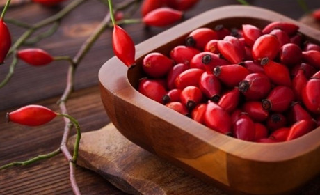 Шипшина: чим корисна, як збирати і заготовлювати