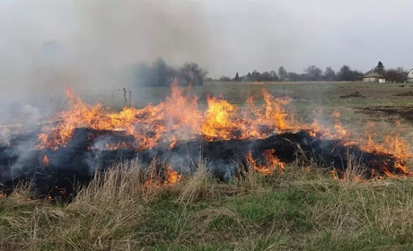 Не спалюйте суху траву. Які штрафи загрожують порушникам?