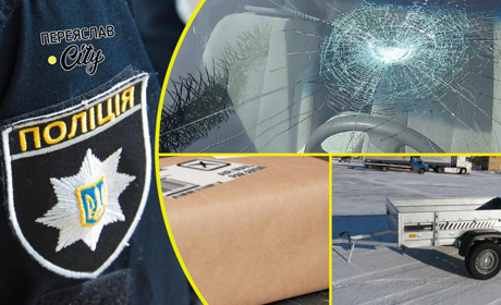 Переяславка заявила на колишнього зятя, що він не віддає її автомобіль та причіп