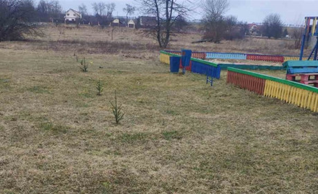 Невеличкий ліс для діток: ялинки біля ігрового майданчика посадили жителі Соснівки на Переяславщині