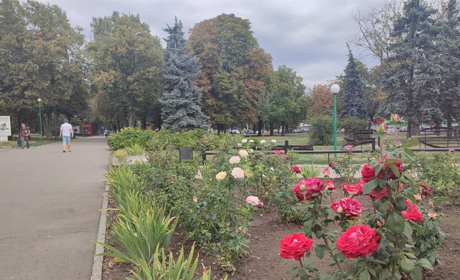 Заблокували трибуну, щоб перейменувати міста та села: як Красноград став Берестином