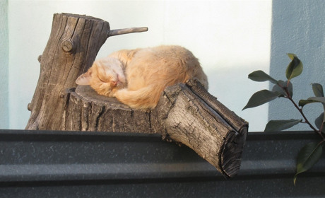 Для тих, хто чекав! Нові пазли від Мелітополь.Сіty