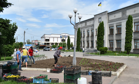 На площі міста розпочали висадку квітів: фото