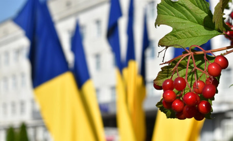 Які питання розглядатимуть звягельські депутати міськради на сесії 23 лютого: перелік