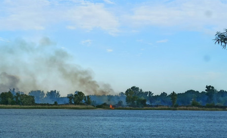 Згоріла трава і кілька деревин