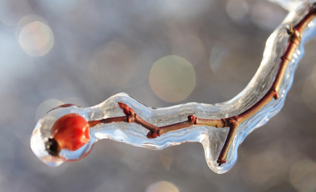 На Сватівщині і у Луганській області оголосили перший рівень небезпеки через ожеледицю