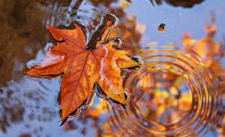 Якої погоди чекати мешканцям Сватівського району з 20 по 26 вересня 2021: прогноз на тиждень