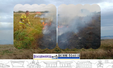 В прикордонних селах Локницької громади горять сухостої