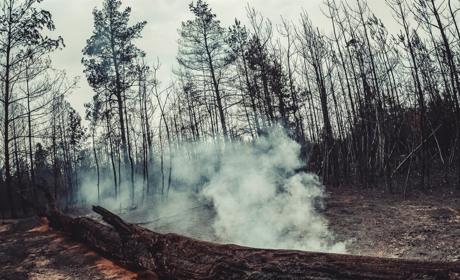 Пожежі на Луганщині: що там відбувається зараз розповів голова обладміністрації Сергій Гайдай